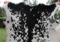 43 by 32 inches Genuine Black and White Goat Hide, Skin for Sale - Buy this one for $44.99