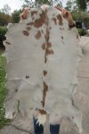 39 by 28-1/2 inches Off White with Light Rust Goat Hide, Skin for Sale - Buy this one for $44.99