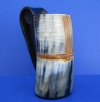 6-7/8 inches tall 16 ounces Half Carved, Half Polished Viking Horn Beer Mug for Sale - Buy this one for $37.99