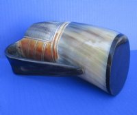 16 ounces Polished, Carved Cow Horn Tankard for $37.99