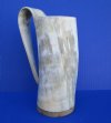 Genuine Buffalo Horn Beer Mug, 8-3/4 inches tall (24 ounce) Light Colored  for $46.99
