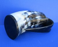 Polished Buffalo Horn Mug 6-3/4 inches tall with a blend of black and whites and a touch of tan (14 to 15 oz) - Buy this one for $34.99