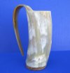 7 inches tall Genuine Buffalo Horn 20 ounces Beer Tankard for Sale, with blends of whites and tans - Buy this one for $39.99