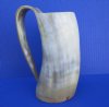 7 inches tall Light Colored Buffalo Horn 20 ounces Beer Tankard for Sale with tans, whites with gold highlights - Buy this one for $39.99