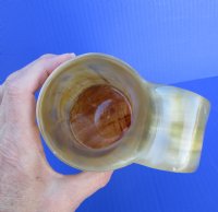 7-1/2 inches tall 20 ounces Buffalo Horn Beer Tankard with blends of tans and whites - Buy this one for $39.99