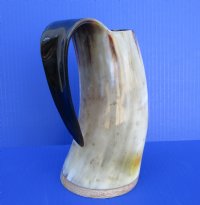 7-1/2 inches tall Authentic 20 ounces Polished Buffalo Horn Beer Mug with a Wood Base in colors tans, browns, cream and splash of gold - Buy this one for $45.99 