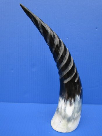 12-1/8 inches Black and White Decorative Spiral Carved Cow Horn for Sale with a marble appearance - Buy this one for $18.99