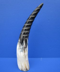 13-3/4 inches Spiral Carved Buffalo Horn with colors, black, tan, cream - Buy this one for $19.99