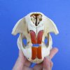 5-1/2 inches Discount American Beaver Skull for Sale (hole thru eye socket, crack on top) - Buy this one for $26.99