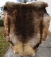 Extra Large Reindeer Hide, Fur 55 by 48 inches (without legs)- Buy this one for $119.99 