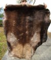 Extra Large Finland Reindeer Hide, Fur 55 by 48 inches (without legs) - Buy this beautiful skin for $109.99
