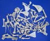 4 pounds Assorted Whitetail Deer Bones and Wild Boar Bones for Crafts - Buy these bones for $41.99