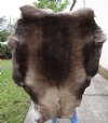 53 by 44 inches Finland Reindeer Fur, Hide, Skin, Without Legs,  for Sale - Buy this one for $114.99