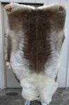 58 by 36 inches Reindeer Fur, Hide, Grade B (No legs, Few Razor Cuts in Fur) - Buy this one for $94.99