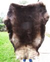 52 by 42 inches Finland Reindeer Fur, Hide, Furniture Throw, Without Legs, Good Quality - Buy this one for $114.99