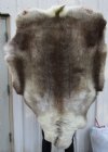 Grade B Reindeer Fur, Hide, Skin, No Legs 57 by 42 inches (few razor cuts on fur) - Buy this one for $94.99