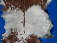 36 by 46 inches Authentic Goat Hide, Rust Brown and White Pattern for $44.99