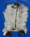 43 by 33-1/2 inches Real Goat Hide with Rust Brown and White Pattern - Buy this one for $44.99