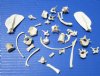33 Tiny and Small Real Assorted Raccoon and Opossum Bones for Crafts 1/2 to 3-1/2 inches - Buy these for <font color=red> .45 each</font> (Plus $6.25 1st Class Shipping)