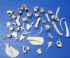 45 Authentic 3/4 to 3 inches Raccoon and Opossum Bones for Crafts - Buy these for <font color=red> .45 each</font> (Plus $6.25 1st Class Mail)