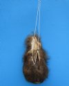 9 inches Fuzzy Buffalo Ball, Testicle, Nut Sack, a Gag Gift for Sale - Buy this one for $39.99