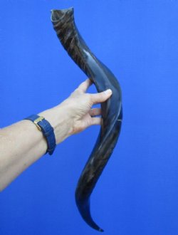 27-3/4 inches Half-...