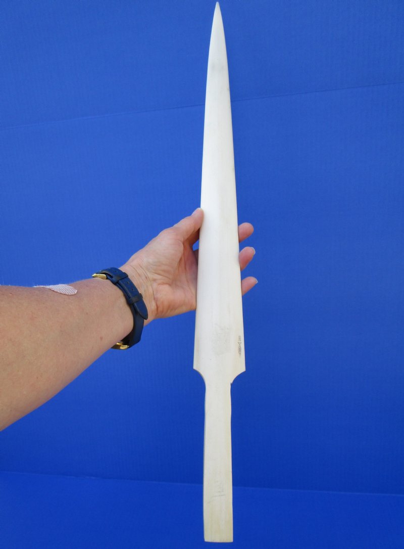 24 inches Polished Swordfish Bill Dagger, Sword for Sale