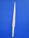 24-1/2 inches Large Polished Swordfish Bill Dagger, Sword for Sale - Buy this one for $94.99