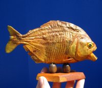 6-3/4 inches Small Real Sun Dried Piranha Fish on Wooden Base (Has several tiny holes in the skin) - Buy this one for $39.99