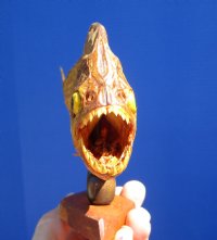 6-3/4 inches Small Real Sun Dried Piranha Fish on Wooden Base (Has several tiny holes in the skin) - Buy this one for $39.99
