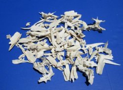 2 pounds of Assorted Alligator Skull Bones - $5.00 a pound