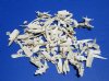 2 pounds of Assorted Alligator Skull Bones for Sale for Crafts - Buy the bones pictured for $5.50 a pound <font color=red> Gator one Pieces Are Very Sharp</font>