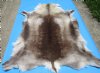 57 by 45 inches Finland Reindeer Hide, Skin for Sale, <font color=red> Extra Large Beautiful Skin</font> Buy this on for $154.99