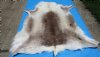 56 by 50 inches Finland Reindeer Hide, Skin Fur <font color=red> Gorgeous Extra Large Hide</font> - Buy this one for $154.99