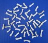 50 Real Coyote Toe Bones for Crafts for Sale - Buy these for <font color=red> .45 each</font> (Plus $6.50 First Class Mail)