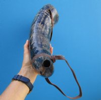 Large Vking War Horn with Leather Shoulder Strap 18 to 19-7/8 inches  - $28.99 each 