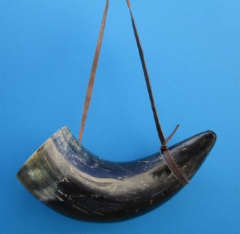 21-3/4 inches Large Viking War Horn with a Leather Shoulder Strap