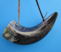 21-3/4 inches Large Viking War Horn with a Leather Shoulder Strap