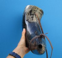 21-3/4 inches Large Viking War Horn with a Leather Shoulder Strap
