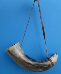 Large Viking War Horns with Leather Shoulder Strap18 to 19-7/8 inches<font color=red> Wholesale</font> 5 @ $20.00 each