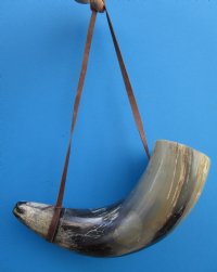 Large Viking War Horns with Leather Shoulder Strap18 to 19-7/8 inches<font color=red> Wholesale</font> 5 @ $20.00 each