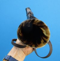 14 to 16 inches Buffalo Blowing Horn with Leather Strap, Viking War Horn - $21.99 each