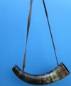 14-5/8 inches Viking War Horn with a Leather Strap