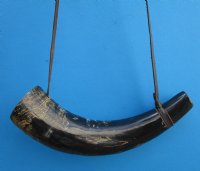 14-5/8 inches Viking War Horn with a Leather Strap, Blowing Horn - Buy this one for $24.99
