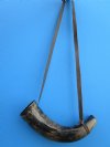 12-7/8 inches Viking War Horn with Leather Strap, Buffalo Blowing Horn