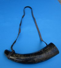 14 to 16 inches Buffalo Blowing Horn with Leather Strap, Viking War Horn - $21.99 each