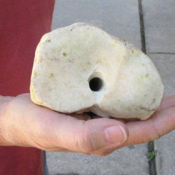 29 inches Real African Giraffe Metacarpal Leg Bone for $159.99