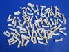 100 Authentic Tiny Coyote Toe Bones for Sale for Bone Jewelry - Pack of 100 @ <font color=red> .42 each</font> (Plus $7.50 First Class Mail)