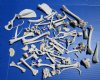 100 Assorted Animal Bones 3/4 to 5-1/2 inches - Buy these for .45 each
