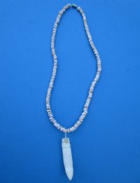 1-3/8 inches Real Alligator Tooth Pendant on an 18 inches Tiger Puka Shell Necklace for Sale - Buy this one for <font color=red> $19.99</font> (Plus $5.00 First Class Mail)